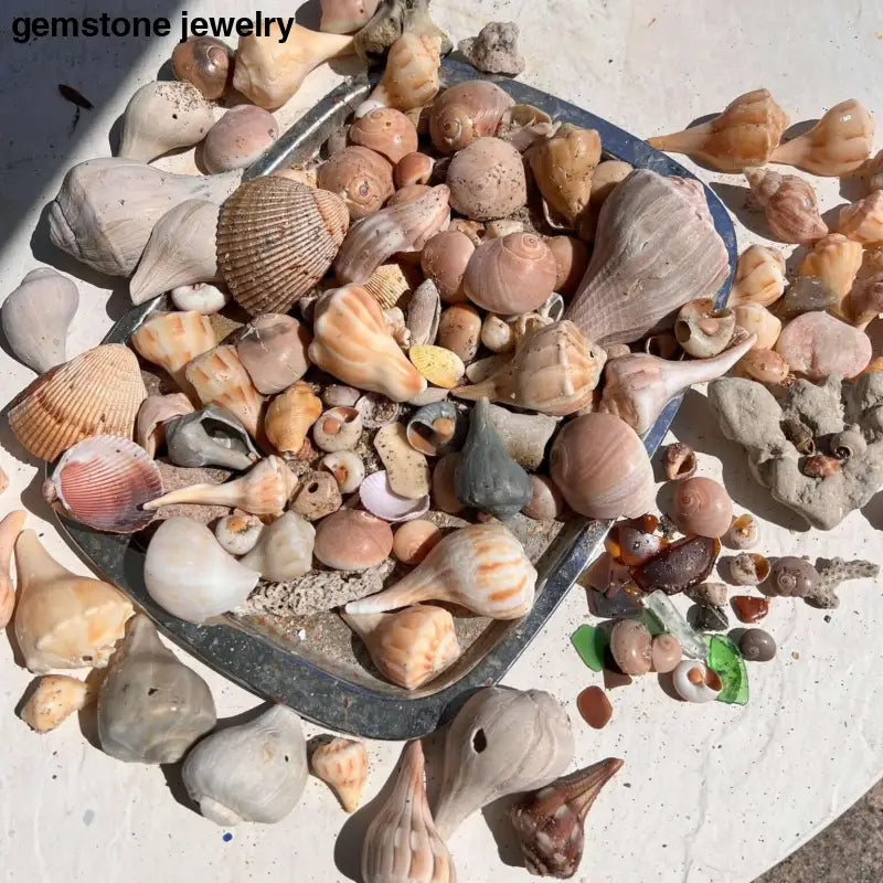 Florida Beach Shells, Sea Glass, - Bec Sue Jewelry Shop