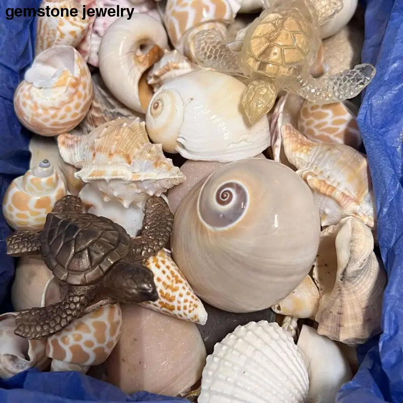 Florida Beach Shells, Sea Glass, - Bec Sue Jewelry Shop