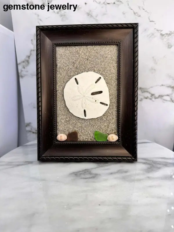 Sand Dollar Decoration, Sand Dollar Decor, Picture frame decor - Bec Sue Jewelry Shop