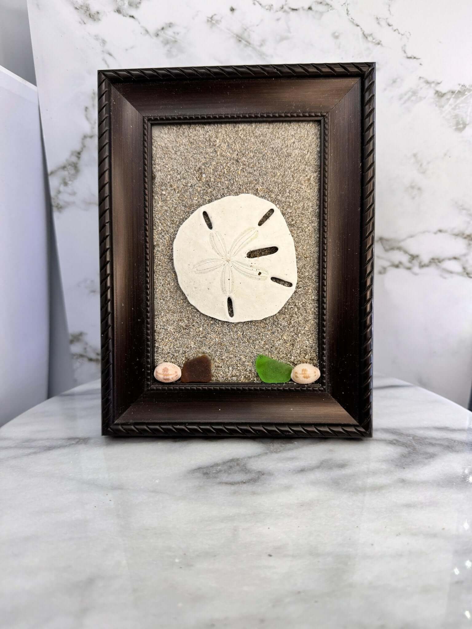 Sand Dollar Decoration, Sand Dollar Decor, Picture frame decor - Bec Sue Jewelry Shop