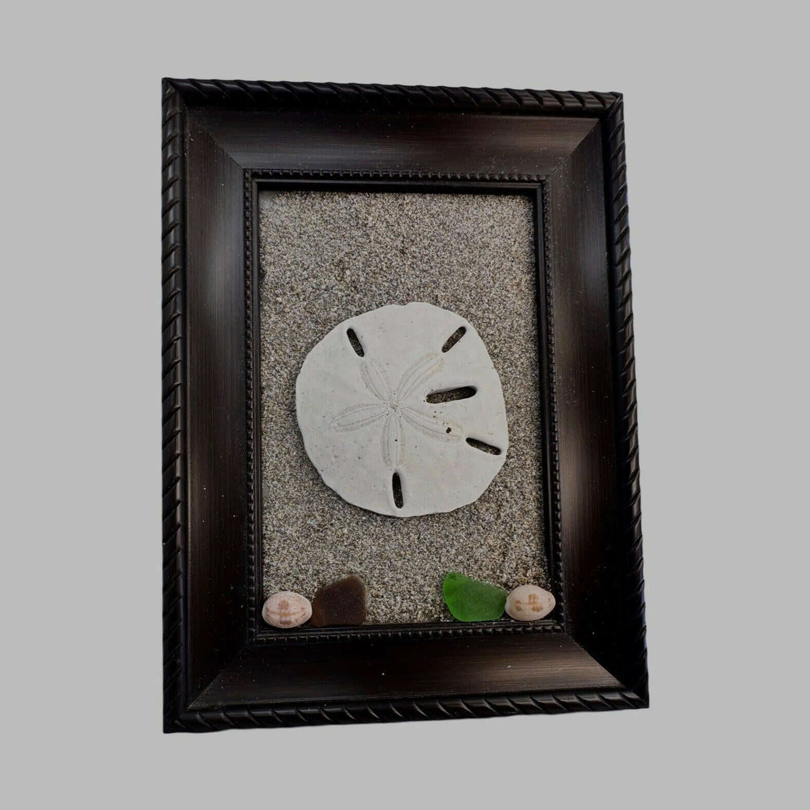 Sand Dollar Decoration, Sand Dollar Decor, Picture frame decor - Bec Sue Jewelry Shop