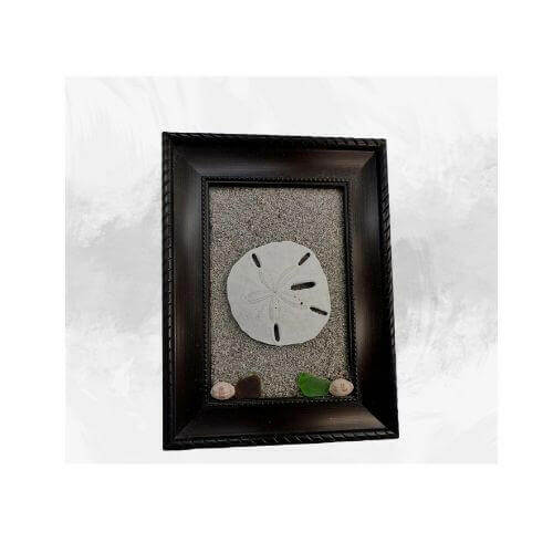 Sand Dollar Decoration, Sand Dollar Decor, Picture frame decor - Bec Sue Jewelry Shop